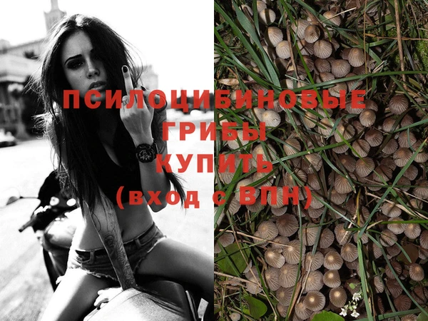 apvp Белоозёрский