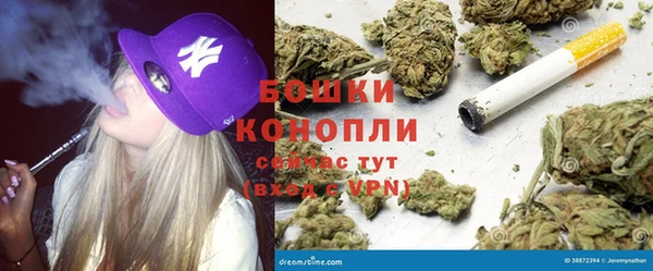 гидропоника Белокуриха