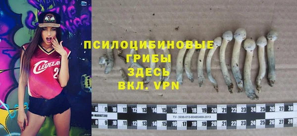 гидропоника Белокуриха