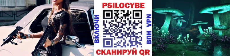 где можно купить   Бокситогорск  Псилоцибиновые грибы мицелий 